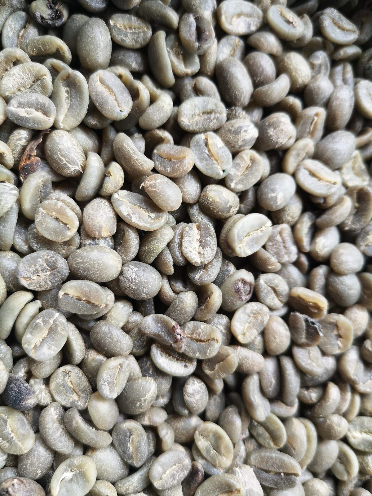 Mộc Châu Natural